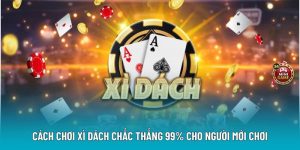 Cách Chơi Xì Dách Chắc Thắng 99% Cho Người Mới Chơi