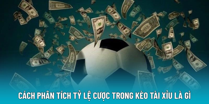 Cách phân tích tỷ lệ cược trong kèo tài xỉu là gì