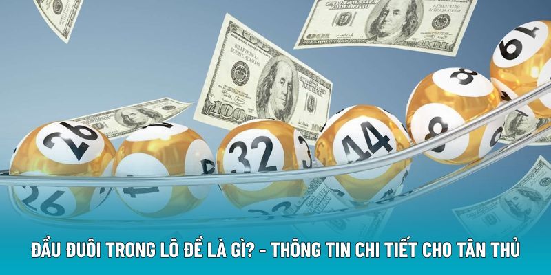 Đầu Đuôi Trong Lô Đề Là Gì? - Thông Tin Chi Tiết Cho Tân Thủ