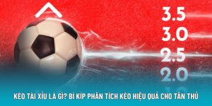 Kèo Tài Xỉu Là Gì? Bí Kíp Phân Tích Kèo Hiệu Quả Cho Tân Thủ