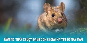 Nằm Mơ Thấy Chuột Đánh Con Gì? Giải Mã Con Số May Mắn