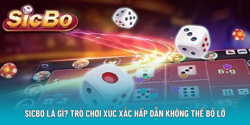 Sicbo là gì? Trò chơi Xúc Xắc Hấp Dẫn Không Thể Bỏ Lỡ